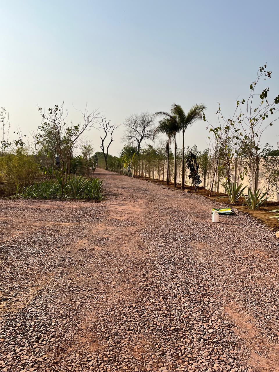 Landscape contractor project